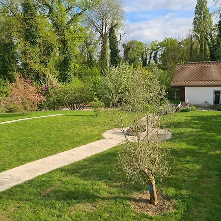 Ferienwohnung Chez Jaja Et Phiphi Bourg-et-Comin Exterior foto